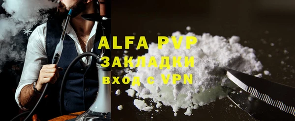 индика Алексин