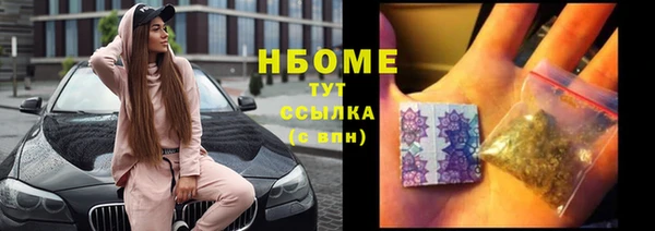 индика Алексин