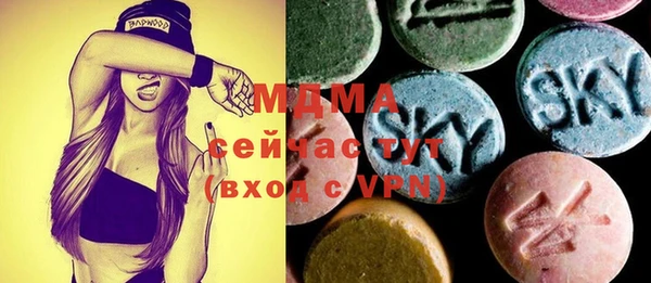 индика Алексин