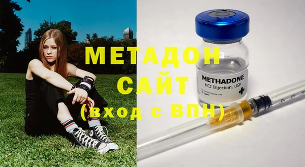 индика Алексин