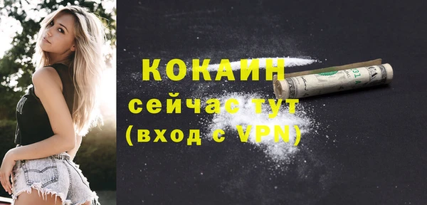 индика Алексин